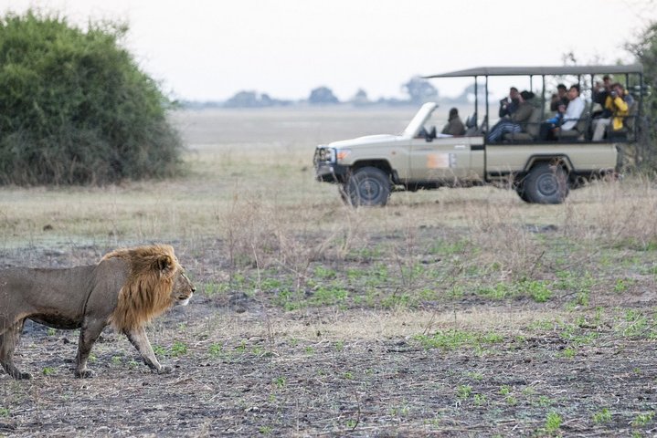 2 Nights 3 Days Chobe Safari ex Livingstone/ Victoria Falls