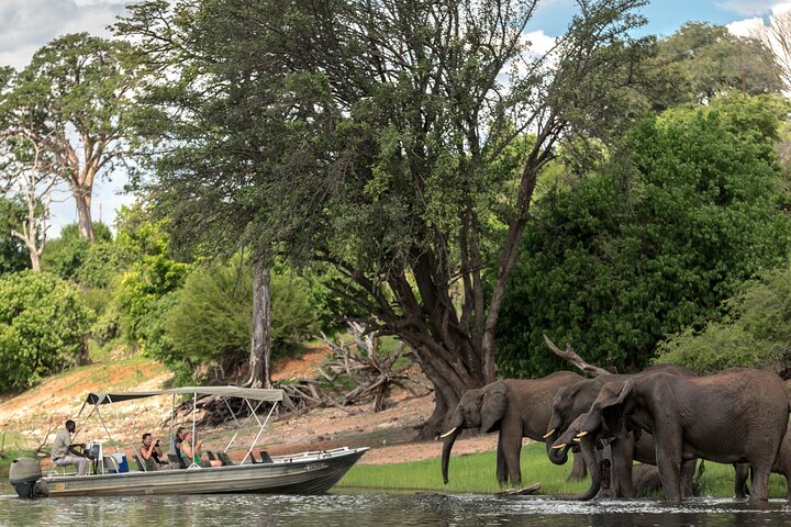 2 Nights 3 Days Chobe Safari ex Livingstone/ Victoria Falls