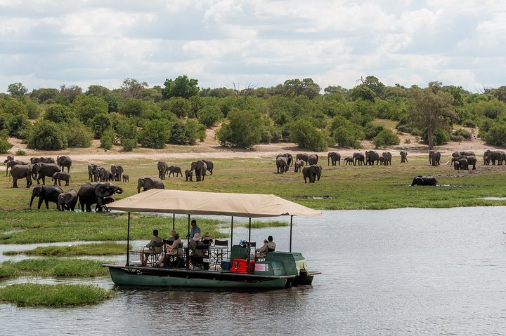 2 Nights 3 Days Chobe Safari ex Livingstone/ Victoria Falls