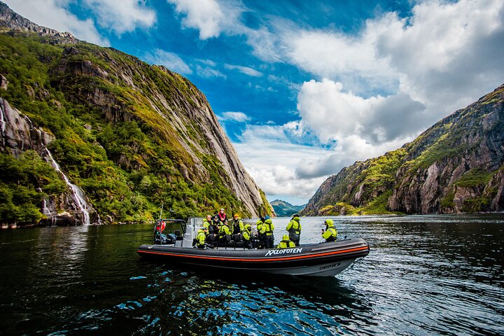 Sea Eagle Safari from Svolvær to Trollfjorden