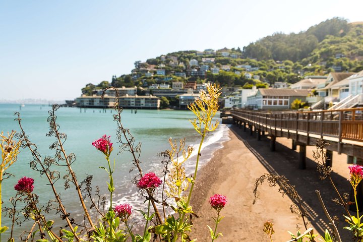 Muir Woods and Sausalito Half Day Tour