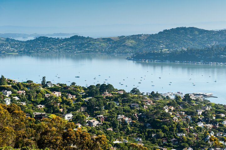 Muir Woods and Sausalito Half Day Tour
