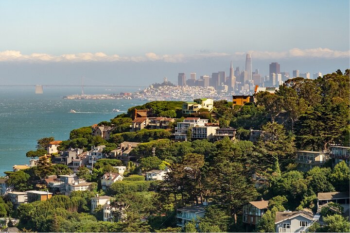 Muir Woods and Sausalito Half Day Tour