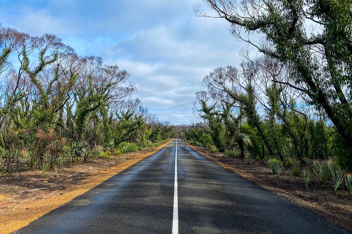 2 day Ultimate Kangaroo Island with return ferry