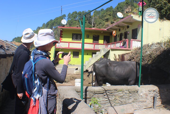 Discover Mussoorie: Private Guided Sightseeing Tour of Mussoorie