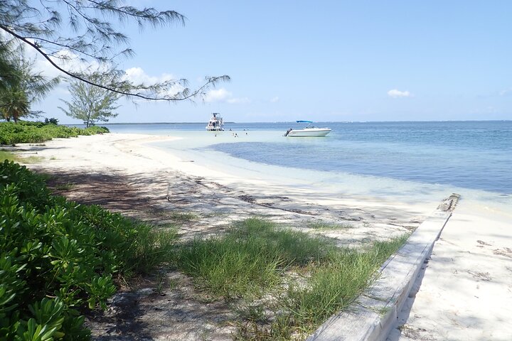 Starfish Point, Stingray City & Coral Garden (3-STOP Adventure)