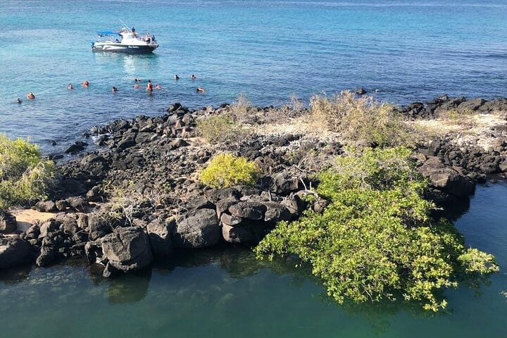 Half Day Bay Tour in Santa Cruz Island