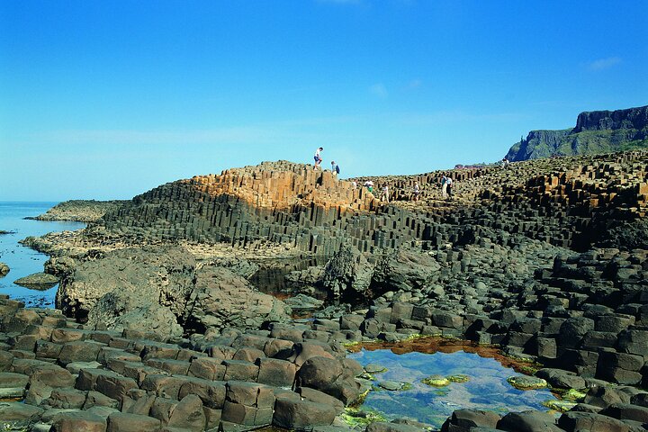 Giants Causeway, Rope Bridge, Carrickfergus Castle and Dark Hedges Tour
