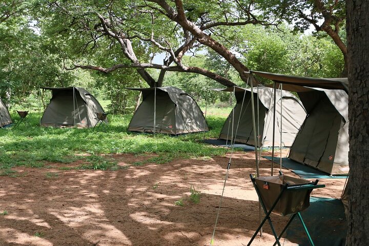 2 Nights 3 Days Chobe Safari ex Livingstone/ Victoria Falls