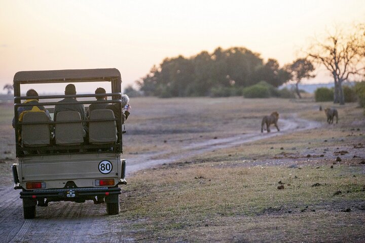 2 Nights 3 Days Chobe Safari ex Livingstone/ Victoria Falls