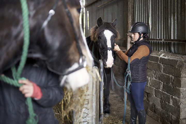 Beach & countryside horse riding outside Westport. Guided. 1 hour