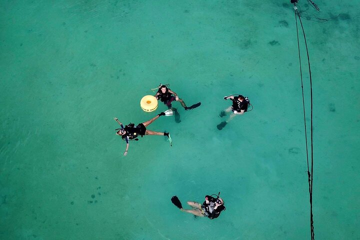 Open Water Diver Course