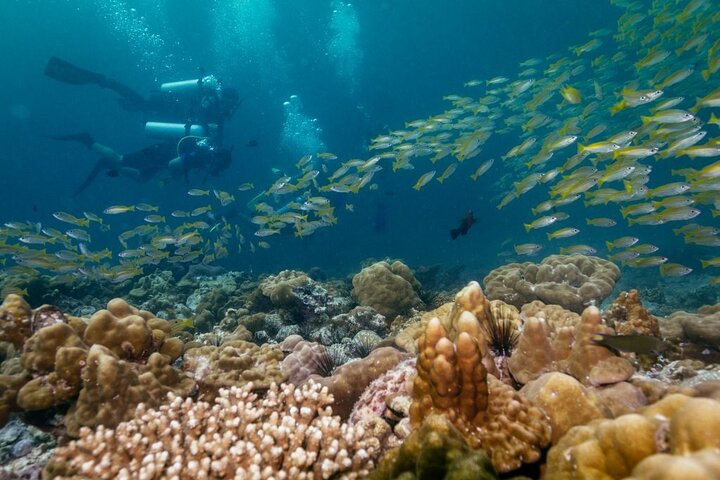 Discover SCUBA Diving