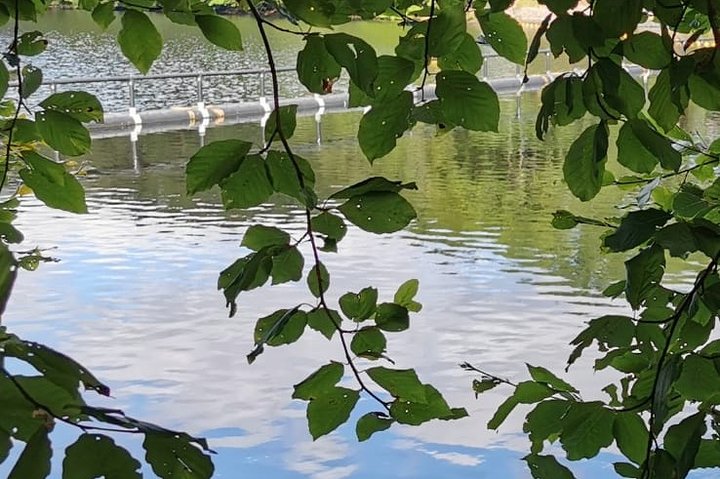 Loch Ness,cawdor castle,inverness,Culloden battlefield,& more from invergordon