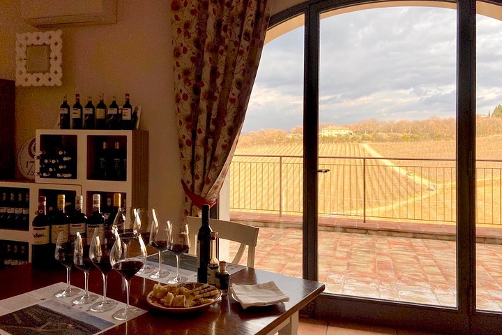 Organic Wine Tour&Tasting overlooking Chianti Classico Vineyards