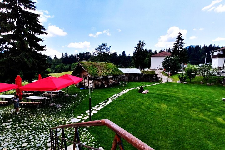 Gela Tours & Activities