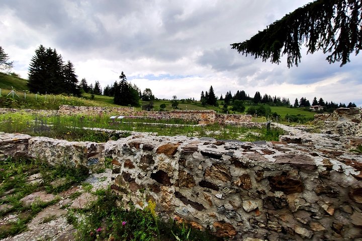 Gela Tours & Activities