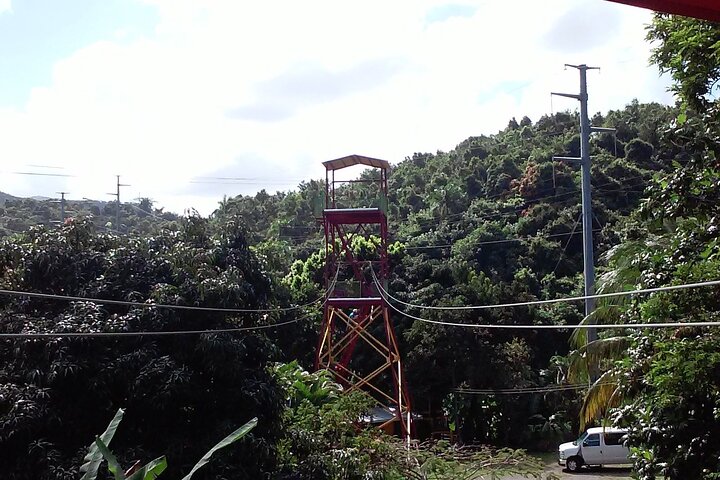 Half Day Tour in Rainforest Zipline Park with Transportation