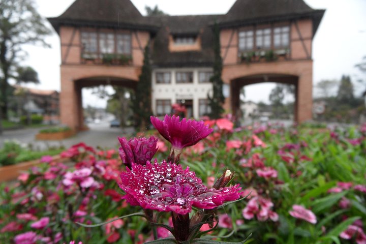 Germanic Route - Cultural and historical: Blumenau and Pomerode