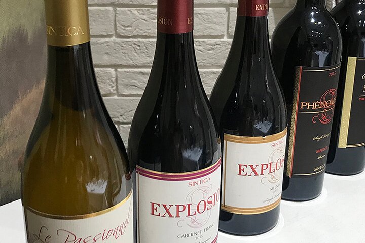 Villa Sintica Wine Tasting Tours & Activities