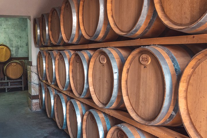 Villa Sintica Wine Tasting Tours & Activities
