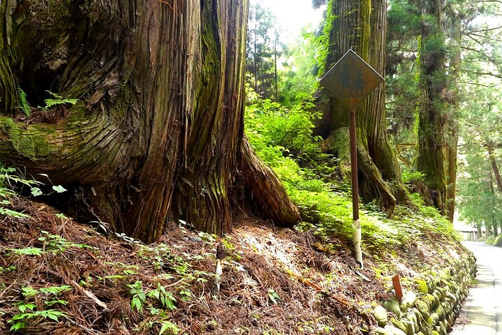 Nikko UNESCO Heritage & Nature Customized Private Tour