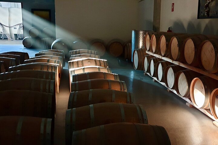 Visit and Wine Tasting at the Territorio Luthier Winery