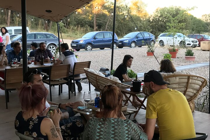 Visit and Wine Tasting at the Territorio Luthier Winery