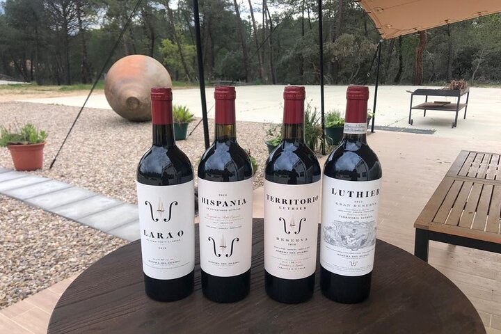 Visit and Wine Tasting at the Territorio Luthier Winery