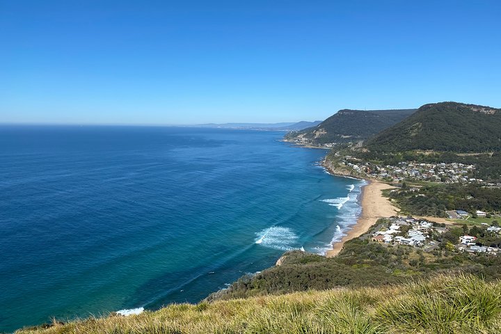 WILD Wombat and Kangaroo Day Tour, All Inclusive