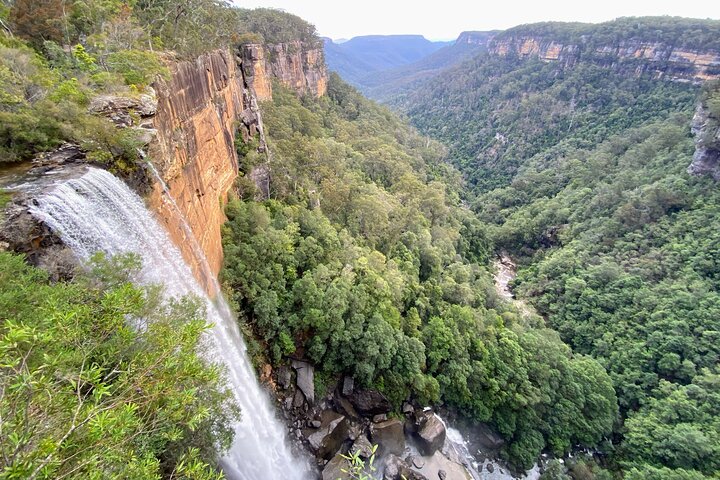 WILD Wombat and Kangaroo Day Tour, All Inclusive