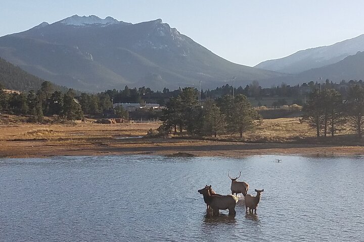 Rocky Mountain National Park in Summer Tour from Denver