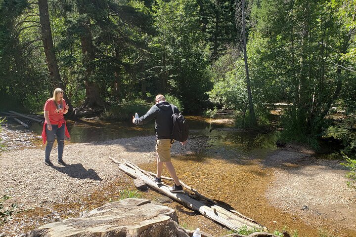 Rocky Mountain National Park in Summer Tour from Denver
