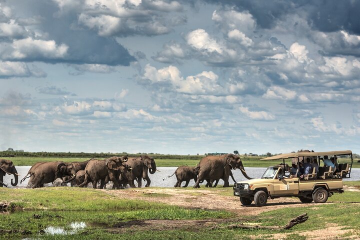 Chobe Day Trip, Botswana Ex Victoria falls or Livingstone