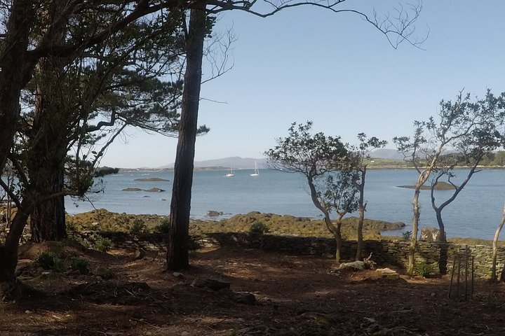 Private Tour: Ring of Beara from Kenmare.