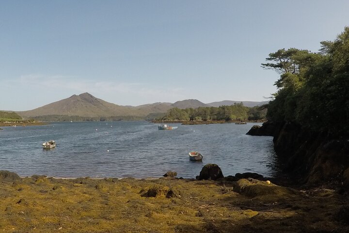 Private Tour: Ring of Beara from Kenmare.