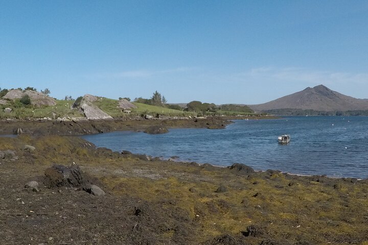 Private Tour: Ring of Beara from Kenmare.