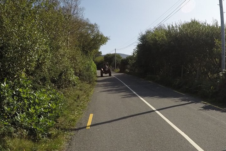 Private Tour: Ring of Beara from Kenmare.