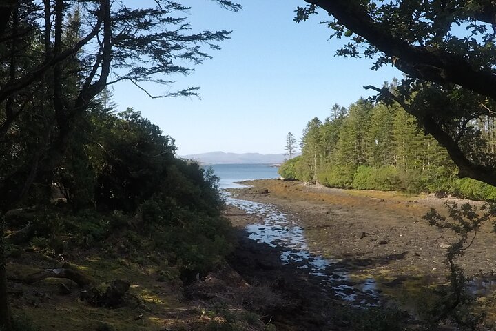 Private Tour: Ring of Beara from Kenmare.