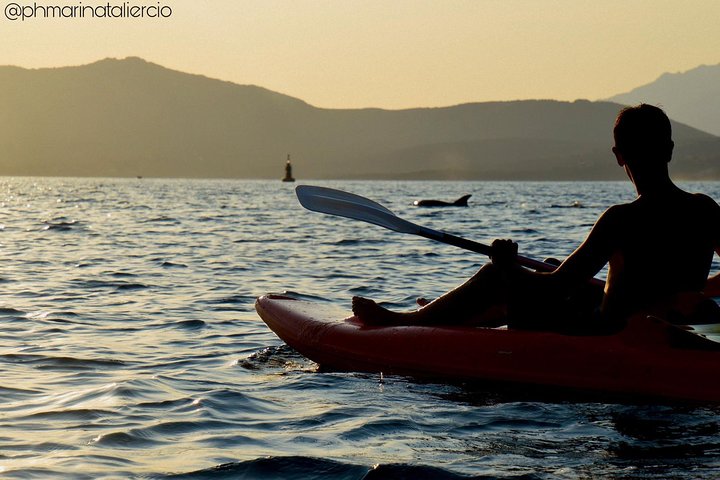 Kayak tour with aperitif and dolphins