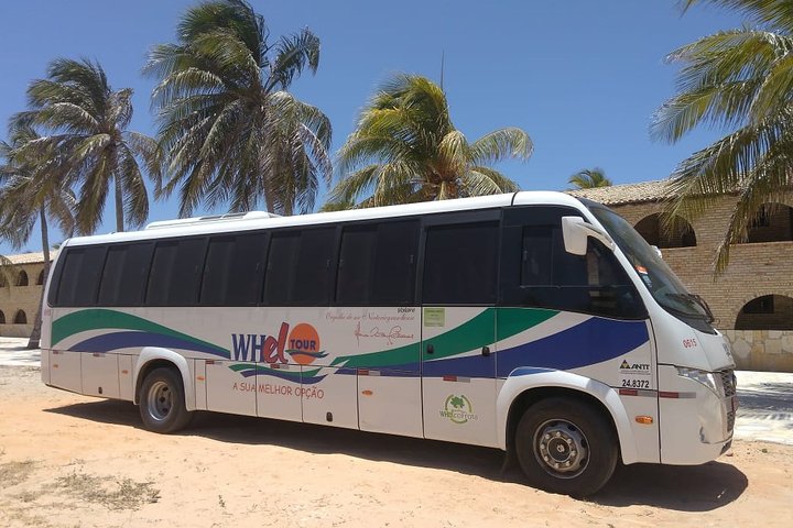 Transfer Out - From your Hotel in Natal to the Airport
