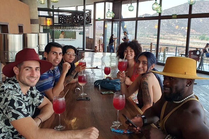 Guadalupe Wine Valley Tour