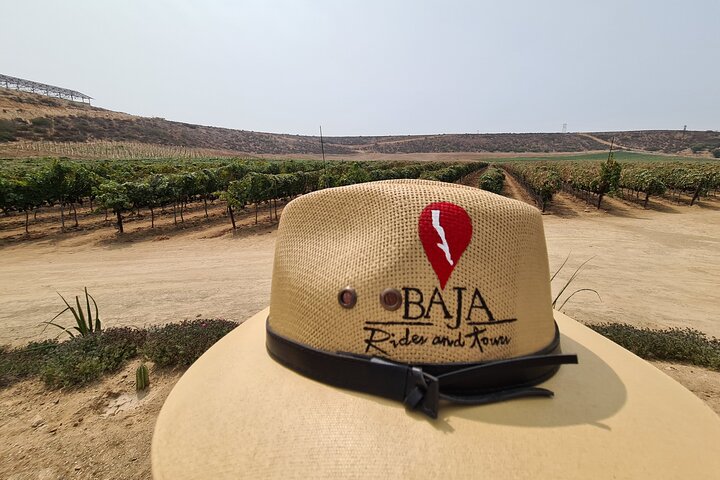 Guadalupe Wine Valley Tour