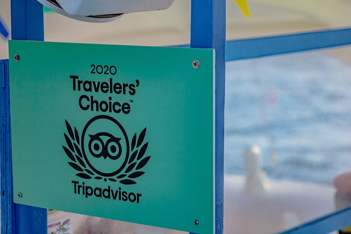 Aruba Sunset Sail Cruise Aboard The Dolphin Catamaran