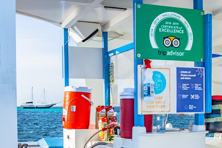 Dolphin Catamaran Snorkel and Sail with Open Bar
