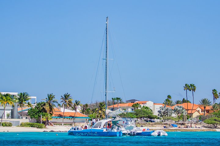 Dolphin Catamaran Snorkel and Sail with Open Bar