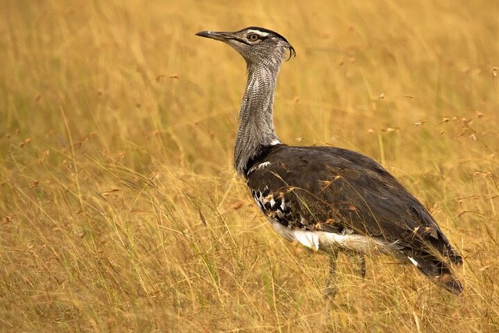 Bhuj to Narayan Sarovar Sanctuary Private Day Tour