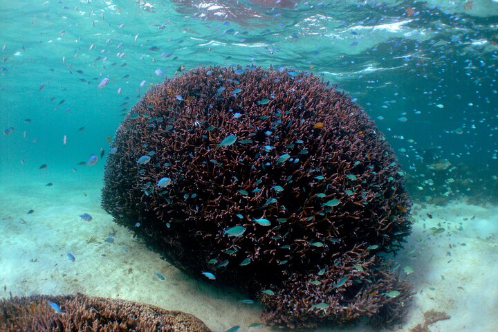 5 Night Ningaloo Reef Ningaloo Escape from Coral Bay