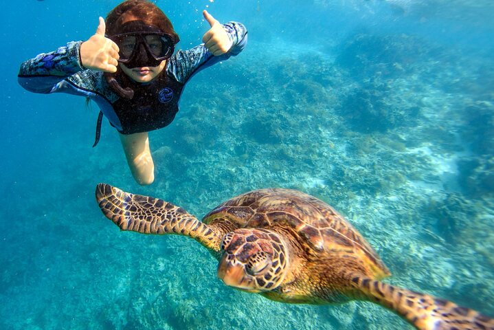 Private Turtle and Ray Tour Rarotonga
