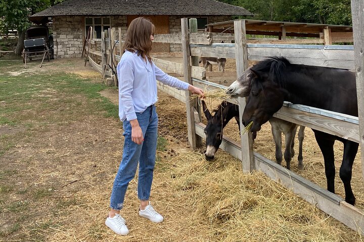 Half-Day Private Guided Tour of Orheiul Vechi and a Farmhouse